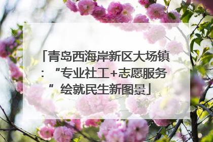 青岛西海岸新区大场镇：“专业社工+志愿服务”绘就民生新图景